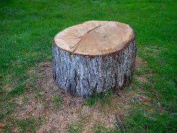Best Storm Damage Tree Cleanup  in Minnetrista, MN